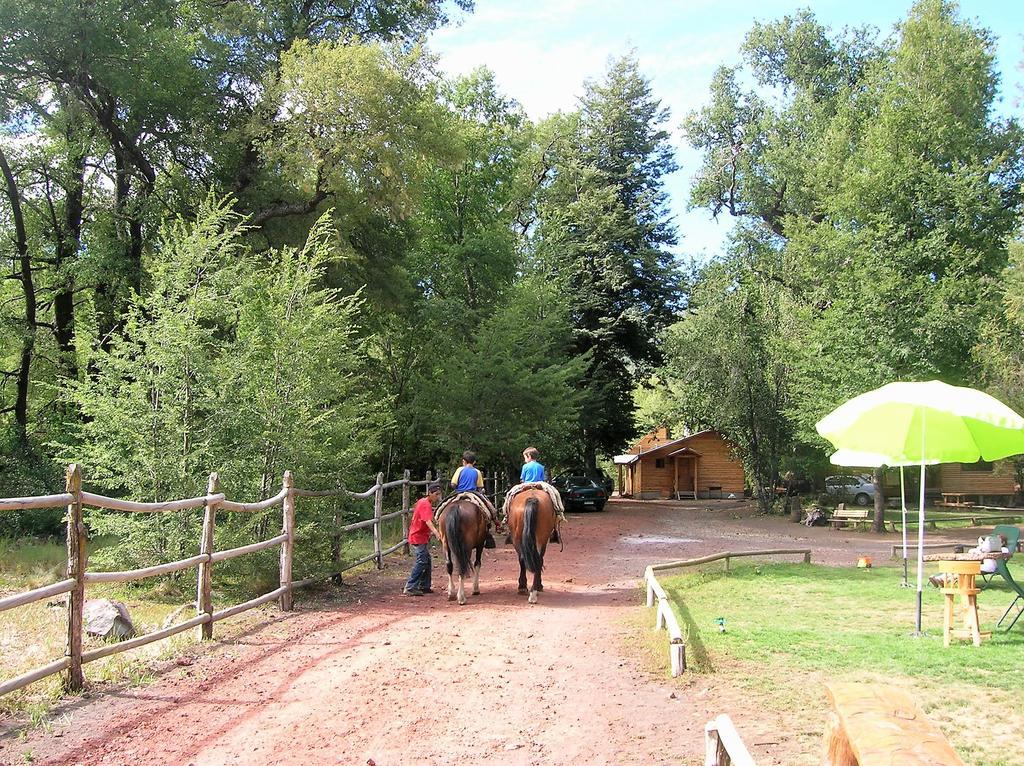 Cabanas Bafemadi Las Trancas Exterior foto